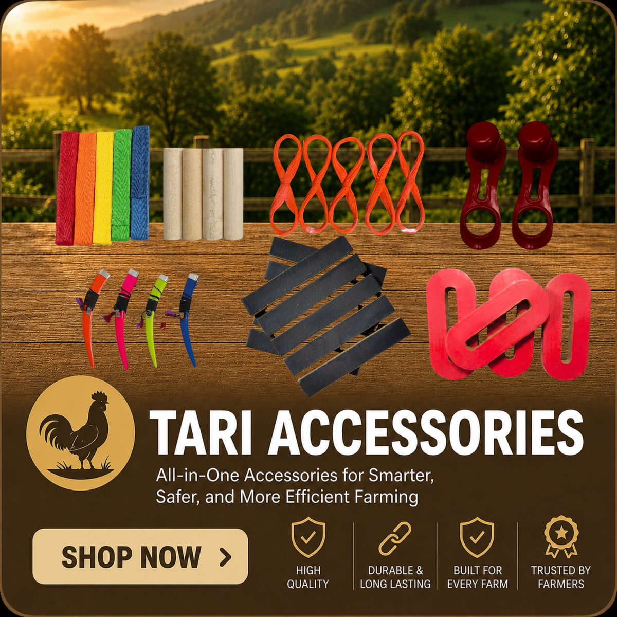 Tari Accessories