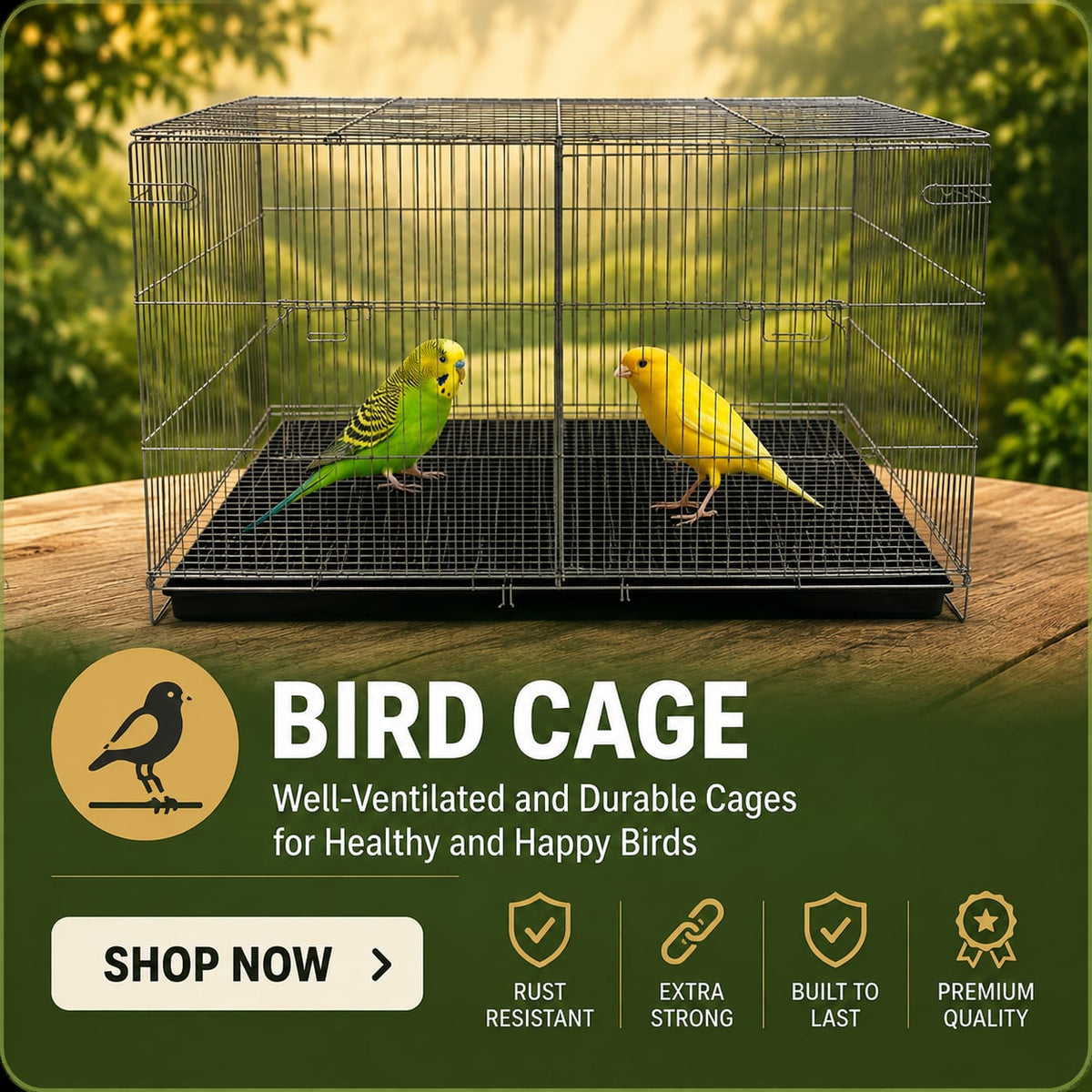 Bird Cage