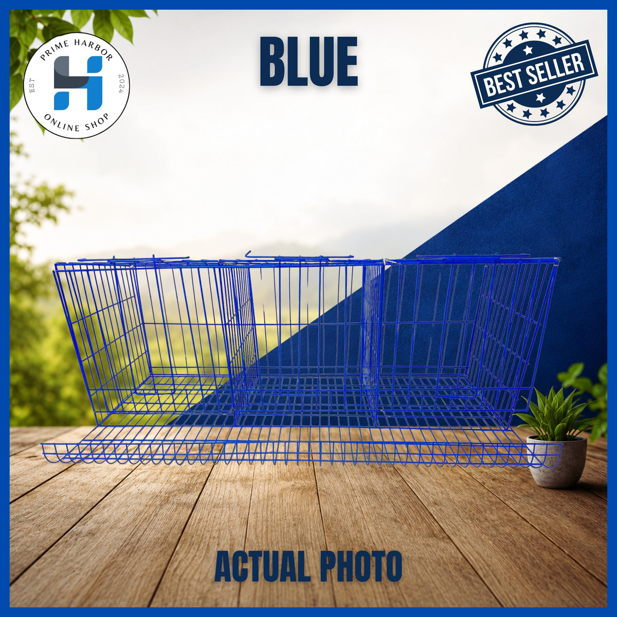 Battery Cage 3 Doors / Coated / Green & Blue / RTL / Kulungan ng manok