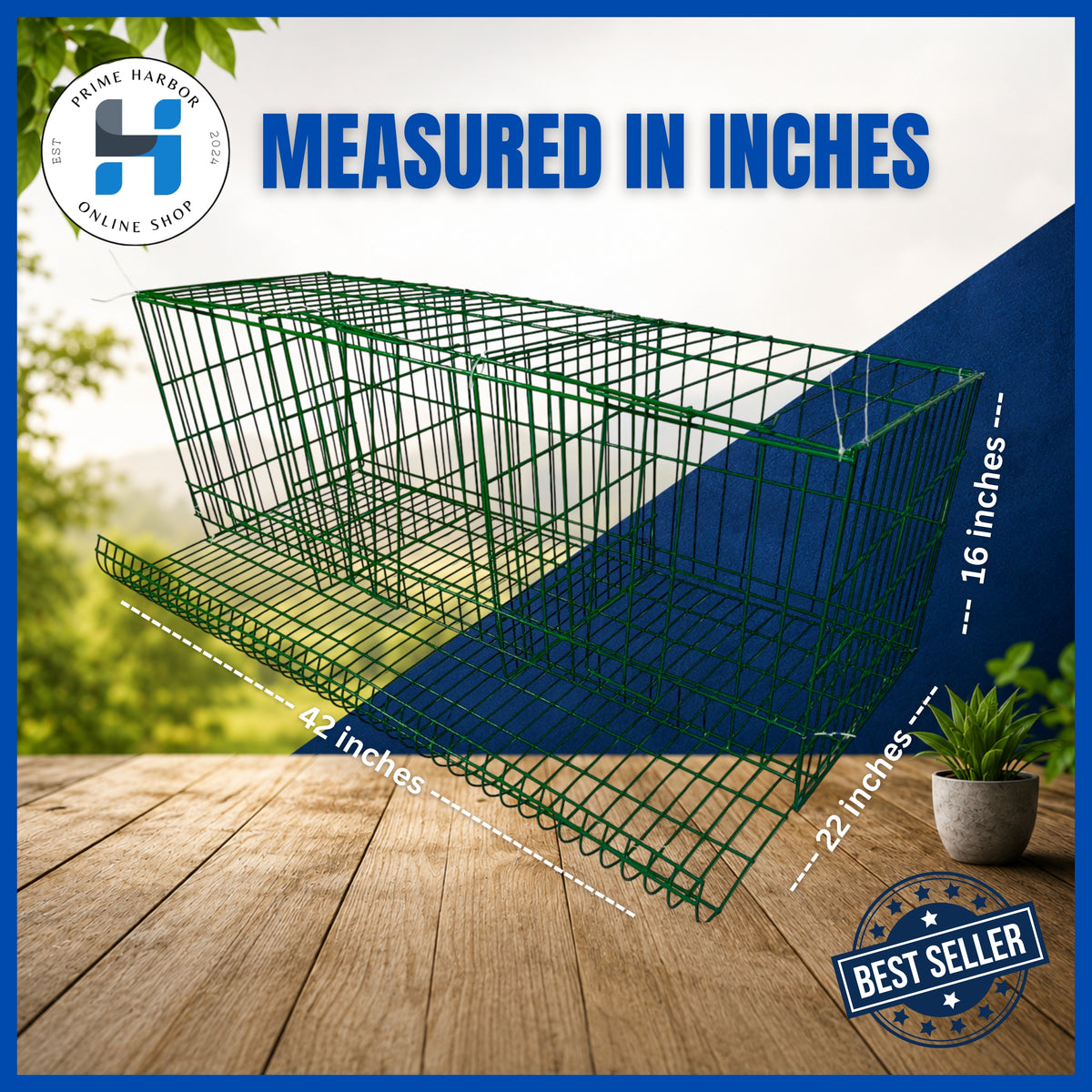 Battery Cage 3 Doors / Coated / Green & Blue / RTL / Kulungan ng manok