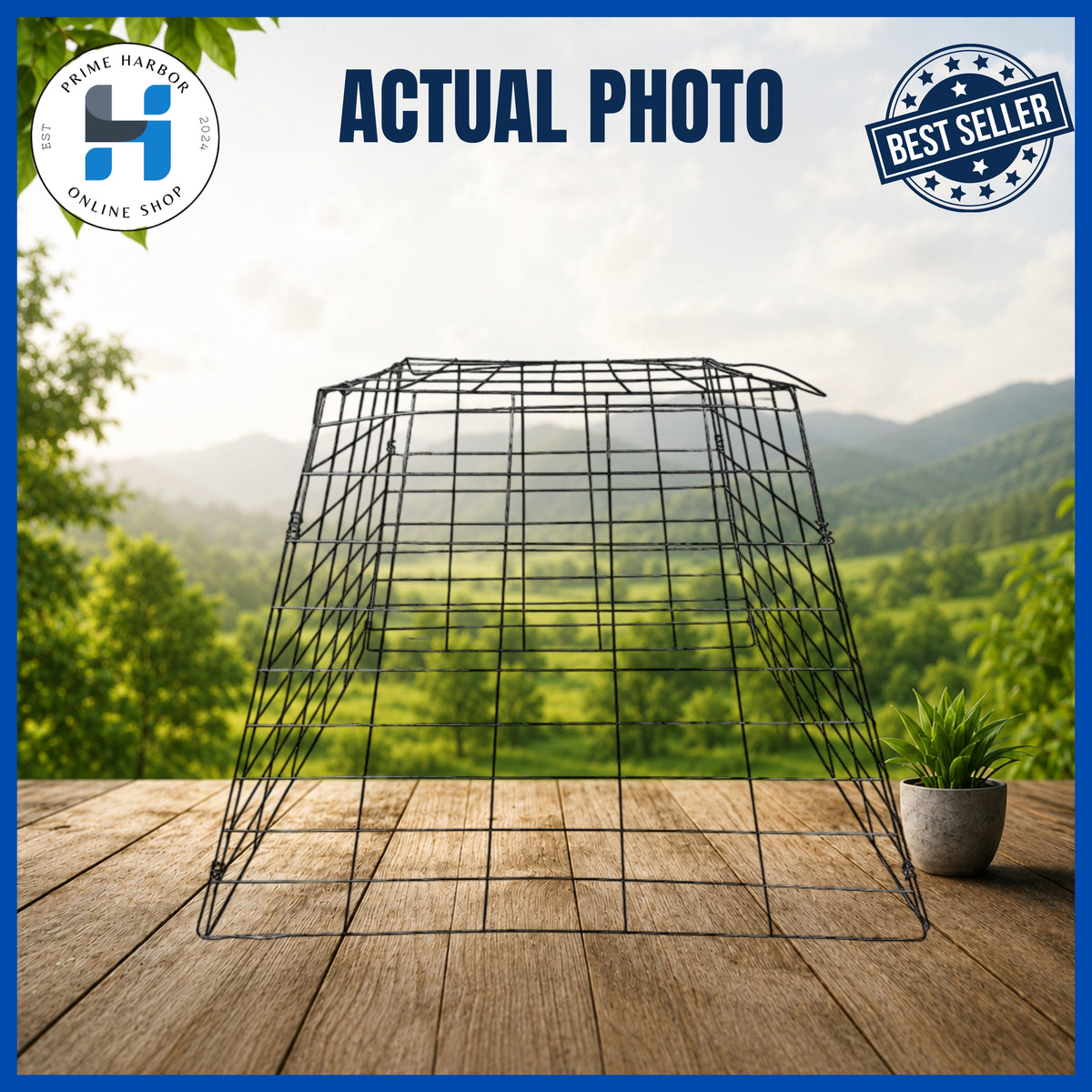 Scratch Pen 8 lines / Galvanized / Gamefowl / Chicken Cage / Kulungan ng manok