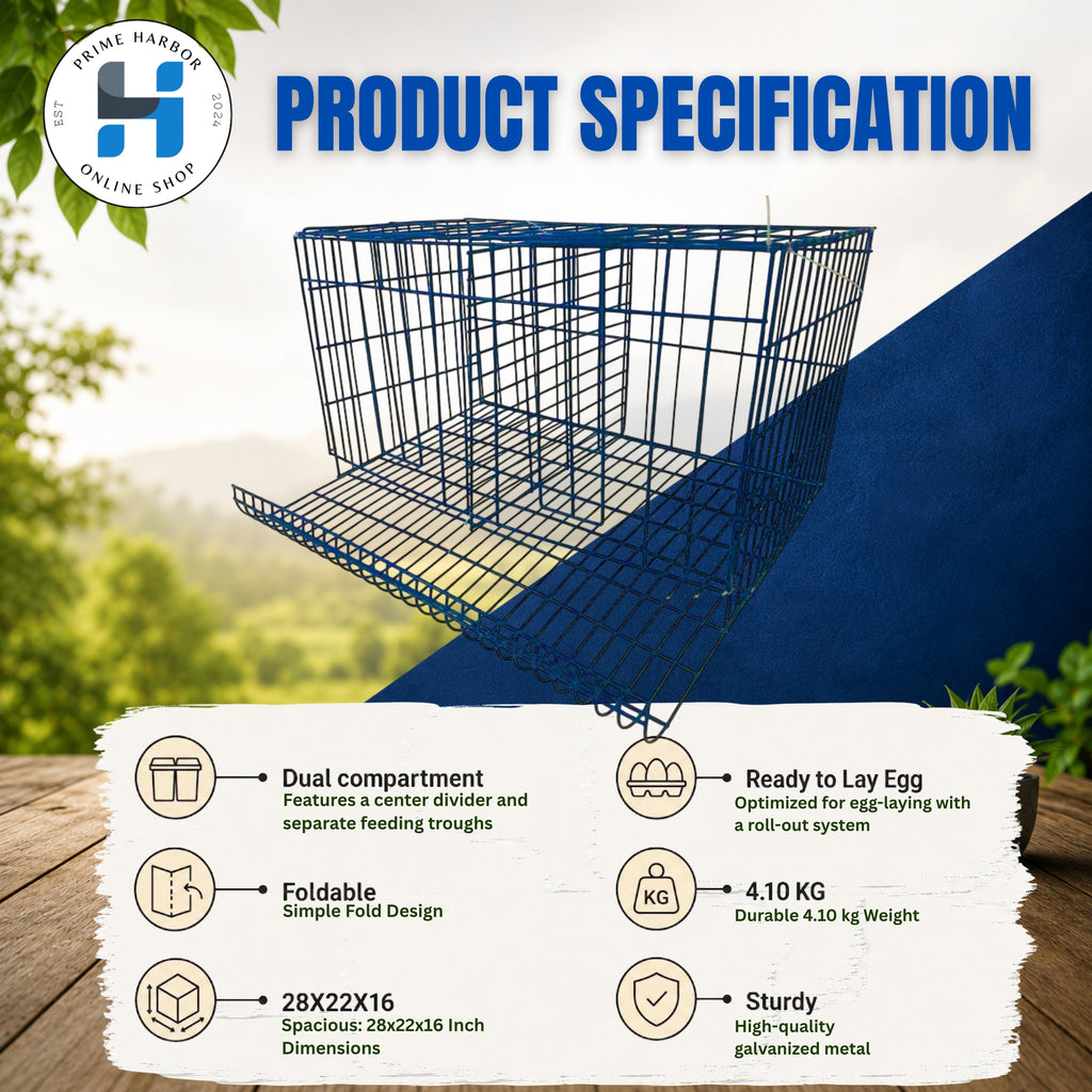 Battery Cage 2 Doors Coated / RTL / Blue & Green / Kulungan ng manok