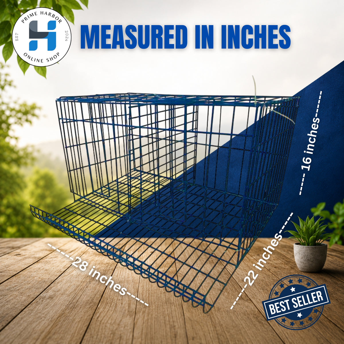 Battery Cage 2 Doors Coated / RTL / Blue & Green / Kulungan ng manok