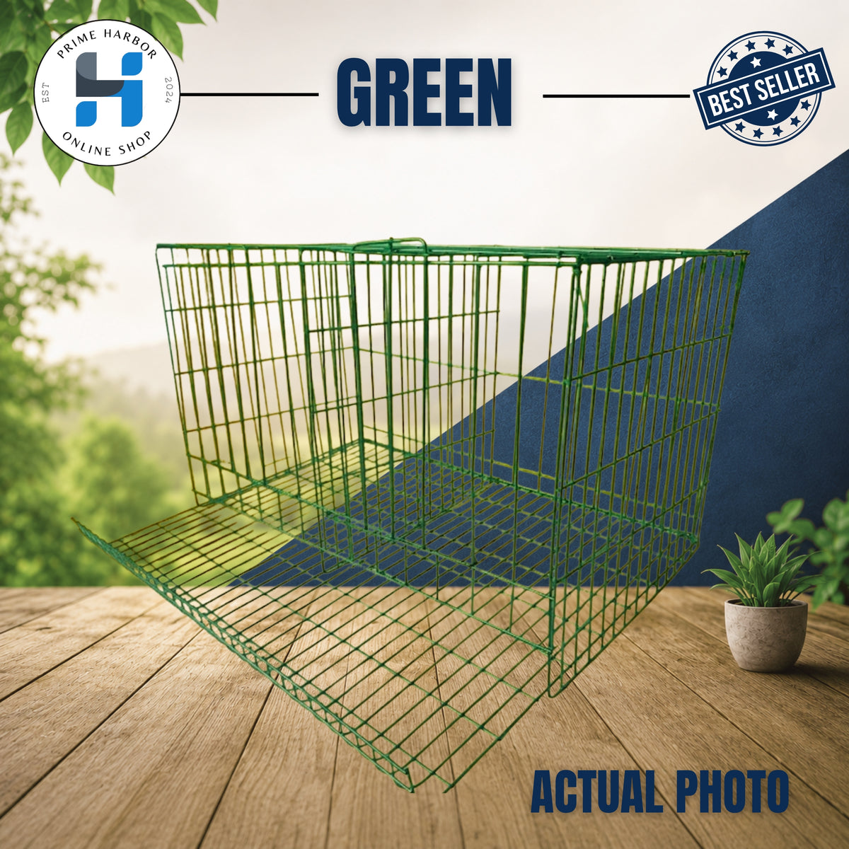 Battery Cage 2 Doors Coated / RTL / Blue & Green / Kulungan ng manok