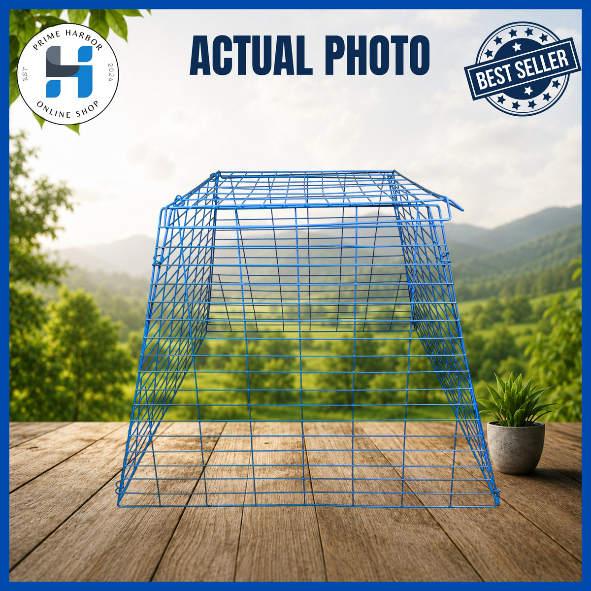 Scratch Pen 17 lines / Coated Light Blue / Gamefowl / Chicken Cage / Kulungan ng manok