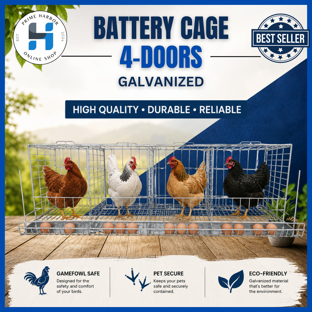Battery Cage 4 Doors / Galvanized / RTL / Kulungan ng manok