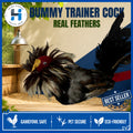 Dummy training cock made with real rooster feathers / Dummy cock / Training cock / Derby / Sabong