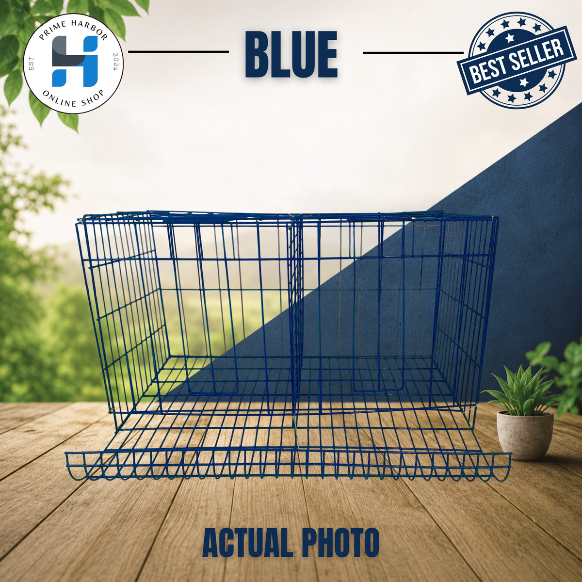 Battery Cage 2 Doors Coated / RTL / Blue & Green / Kulungan ng manok